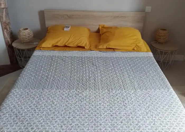 Chez Patrice Bed & Breakfast Le Mans